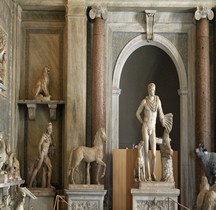 Rome Vatican Musie sala dei Animali