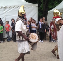 Militaria Tympaniolum Nimes 2015