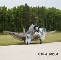 Douglas SBD 5 Dauntless