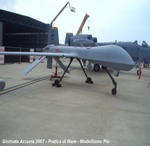 Air 1995 General Atomic MQ-1C Predator A+