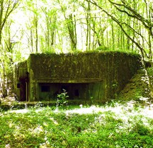 09 SF Thionville SS Hettange Grande C46 Basse Parthe Casemate CORF Est Boust 57570