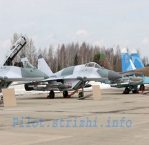 MiG 29 SMT Fulcrum-F