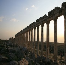 Syrie  Apamée-sur-l'Oronte