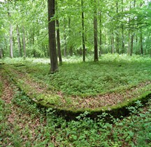 Limes Germanicus Reticus KK Kleinkastell Hönehaus