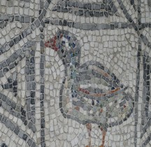 Mosaïque Médiéval Haut Italie Classe Basilica San Severo Mosaïque Canard Classe Museo