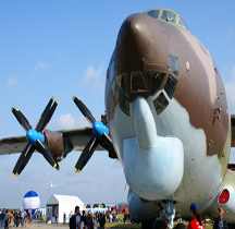 Antonov 22 A Cock (Antheus)