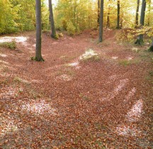 Hessen Taunusstein-Orlen Kastell Zugmantel Amphitheatre