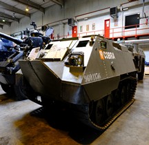 ACEC Cobra