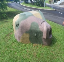 Panzernest MG Australie