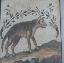 Mosaïque Rome Italie Rome Loup Corne Abondance Vatican