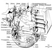 Char Maus Anatomie d'un Fauve