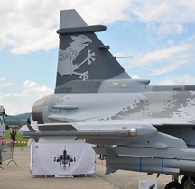 Saab JAS 39 D Gripen Tchéquie 211 Taktcká Letka Payerne 2014