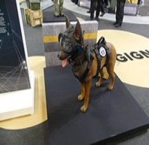 GIGN Chien Intervention Eurosatory 2026