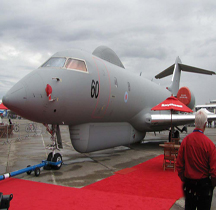 Sentinel R MK1 Le Bourget 2009