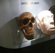 0 Hominidés 1.3.3 Paléolithique Moyen Moustérien Homo Sapiens Neanderthalensis Chapelle aux Saints  Bruxelles