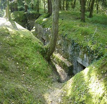 Meuse St Mihiel Bois d'Ailly