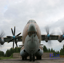 Antonov 22 A Cock (Antheus)