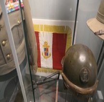 1944 9e DIC Fanion Général Magnan Frejus Musée TdM