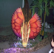 2.2.1 Jurassique Ancien Dilophosaurus Montpellier