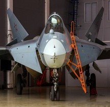 Sukhoï PAK FA T50 Prototype