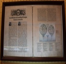 7 Rome Collection Cardinal Borgia