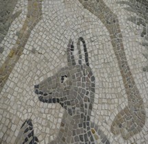 Mosaïque Rome Italie Rimini Anubis Museo Archeologico Rimini