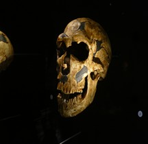 0 Hominidés 1.3.3 Paléolithique Moyen Moustérien Homo Sapiens Neanderthalensis Abri de la Ferrassie