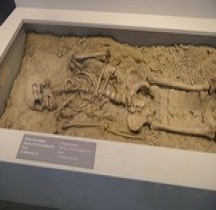 2.3 Neolithique Campaniforme Tombe Faenza Classe Museo