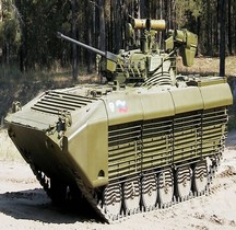 BMP 2 Update