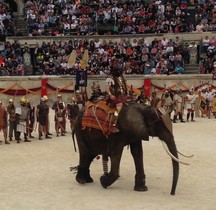 Militaria Eléphant de Guerre