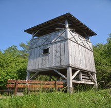 1 Limes Germanicus Rheinland-Pfalz Limeswachturms Wp 1-09 Rheinbrohl Am Beulenberg