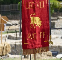 Vexillum Legio VIII Augusta St romain en Gal 2022