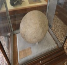 1.2. Paléolithique Inférieur Pleistocène Moyen Aepyornis Maximus Oeuf Bologne Musée Capellini