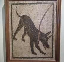 Mosaïque Rome Italie Pompéi Regio VI Insula 14.20 Domus Orfeo Cane Nero Naples MAN