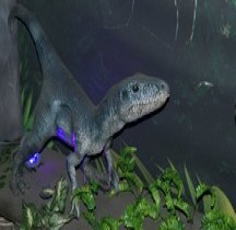 2.1.3 Trias Superieur Eoraptor Lunensis Montpellier