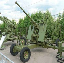 40 mm Bofor Automatic Gun M1(Moscou)