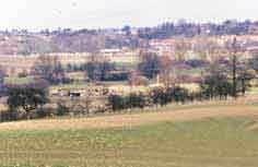 15 SF Haguenau SS Soufflenheim Casemate  de la Seltz Bas Rhin