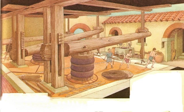 rome-agriculture-le-vin-et-les-romains-maquetland-le-monde-de-la